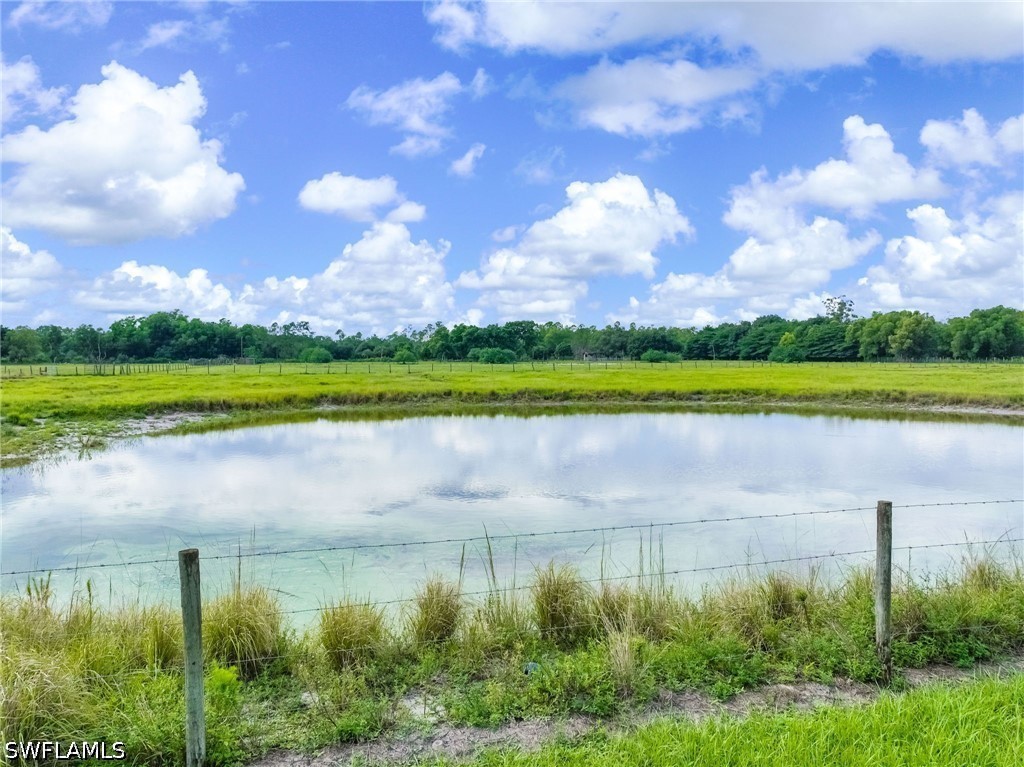 Pond