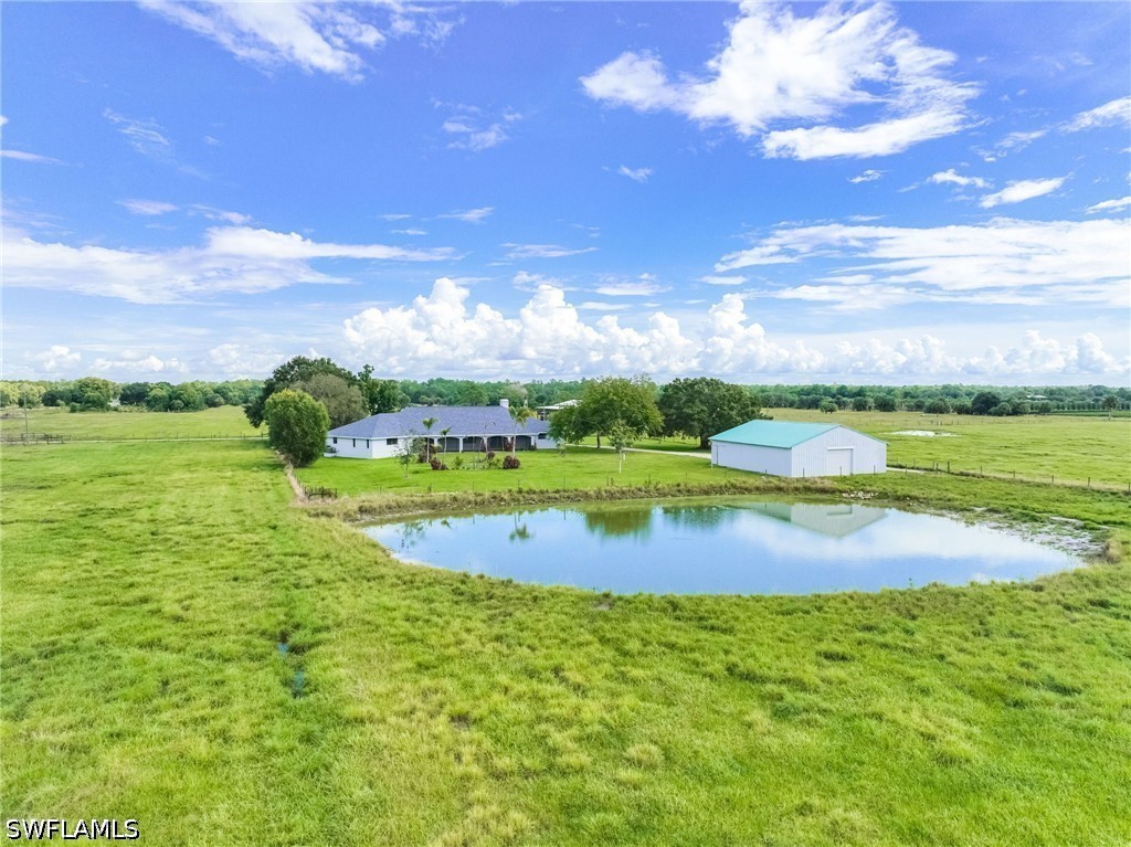 Pond