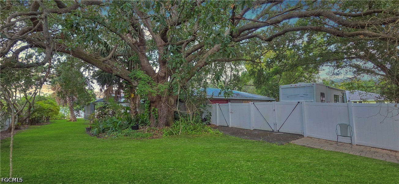 Yard