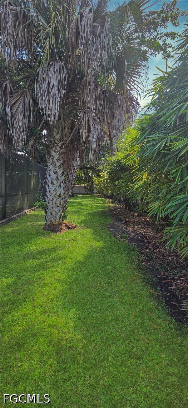 Yard
