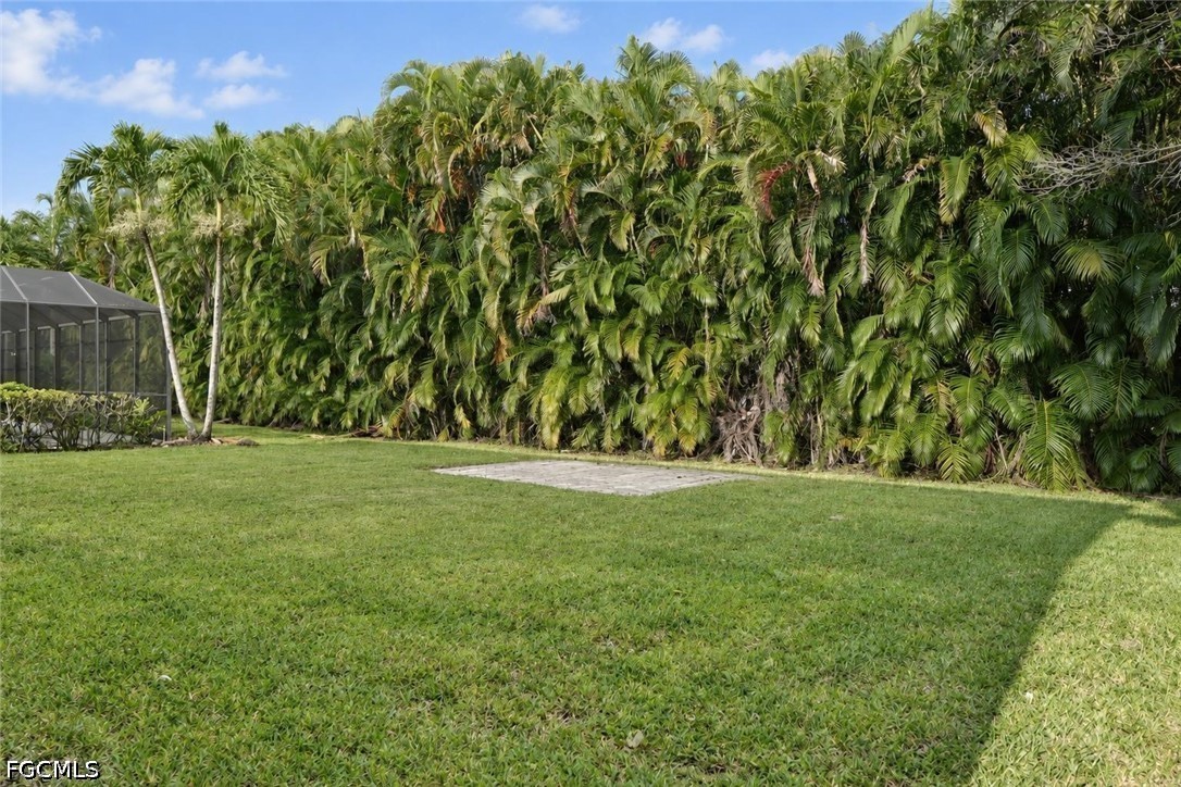 Yard