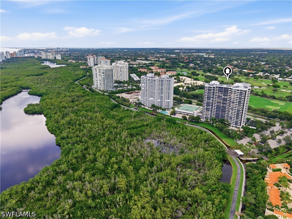 AerialView