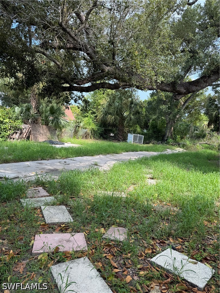 Yard
