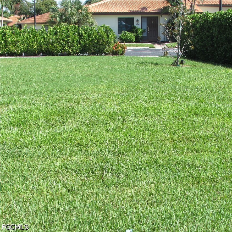 Yard