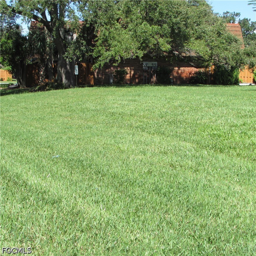 Yard