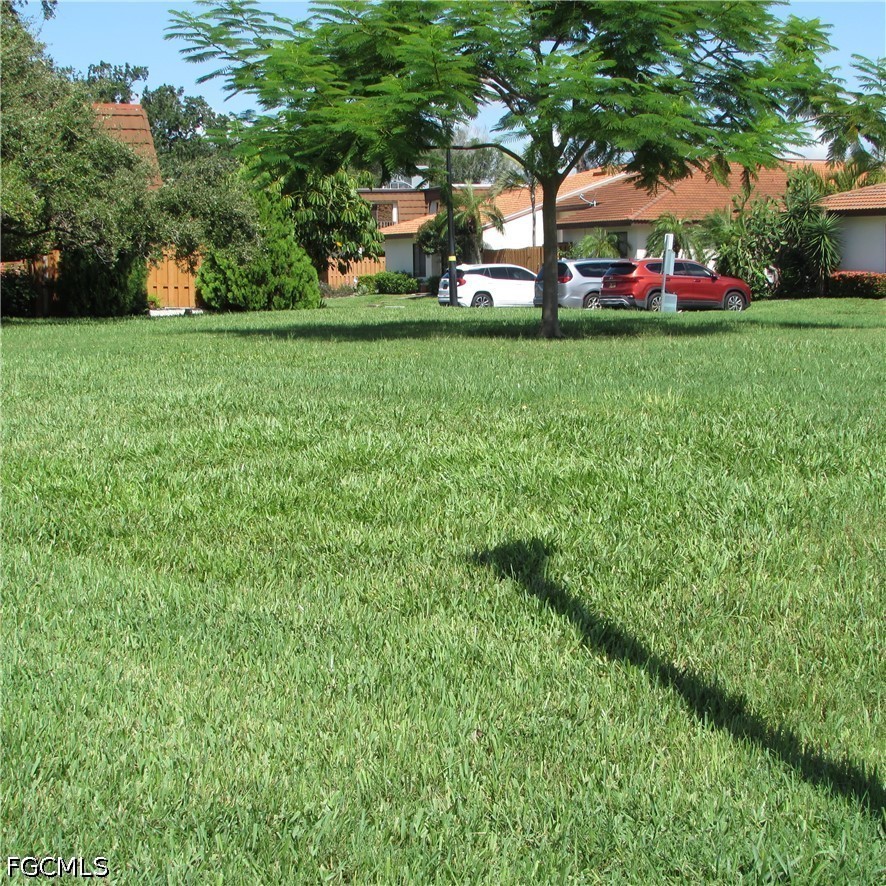 Yard