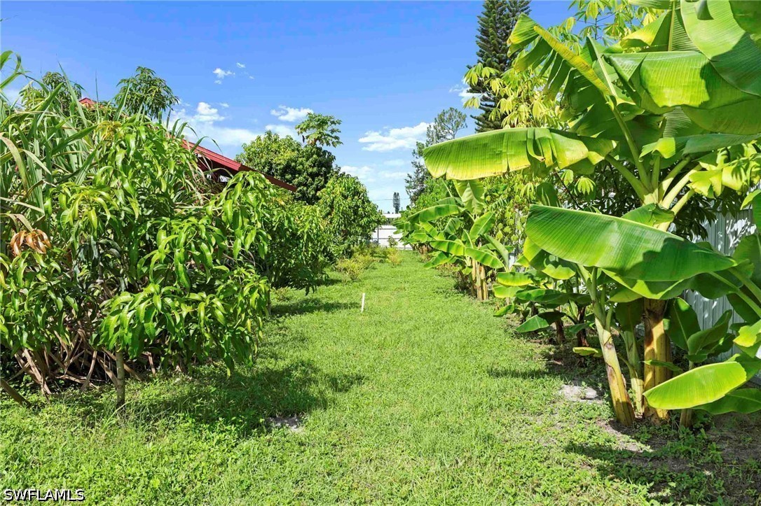 Yard