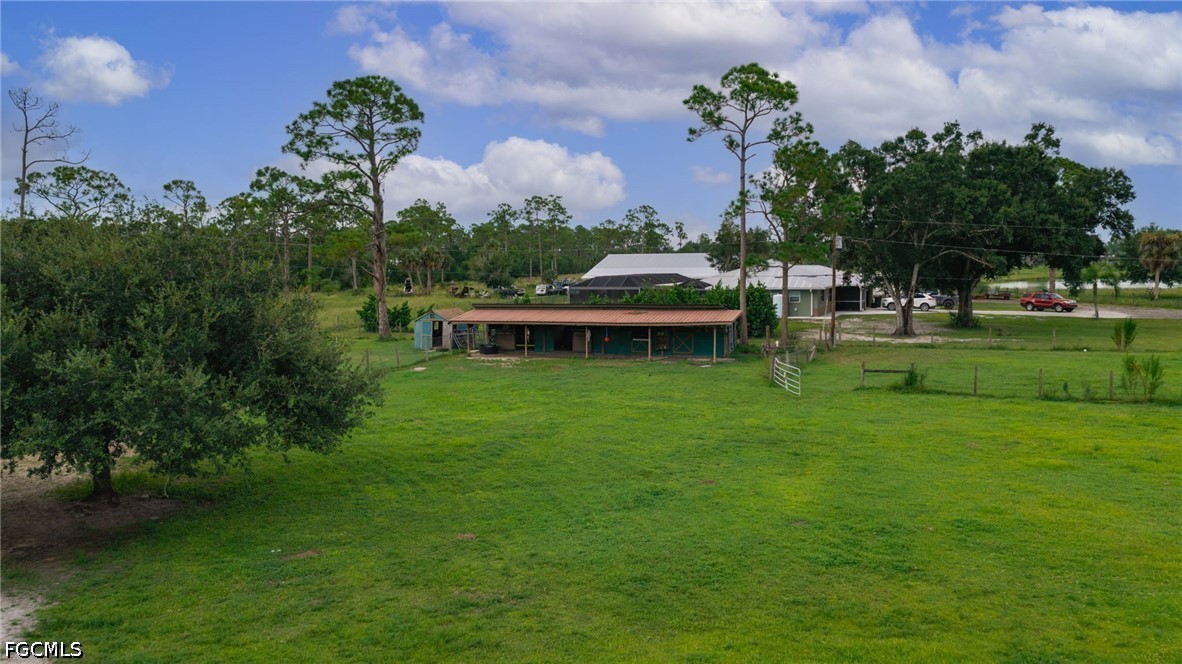 Yard