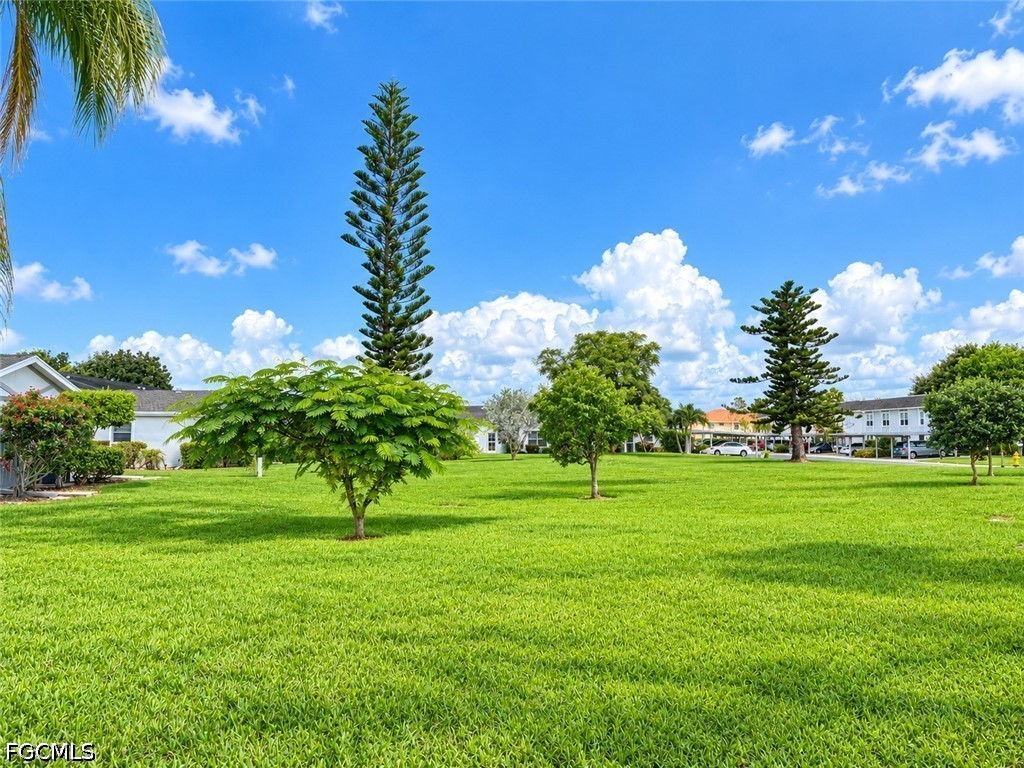 Yard