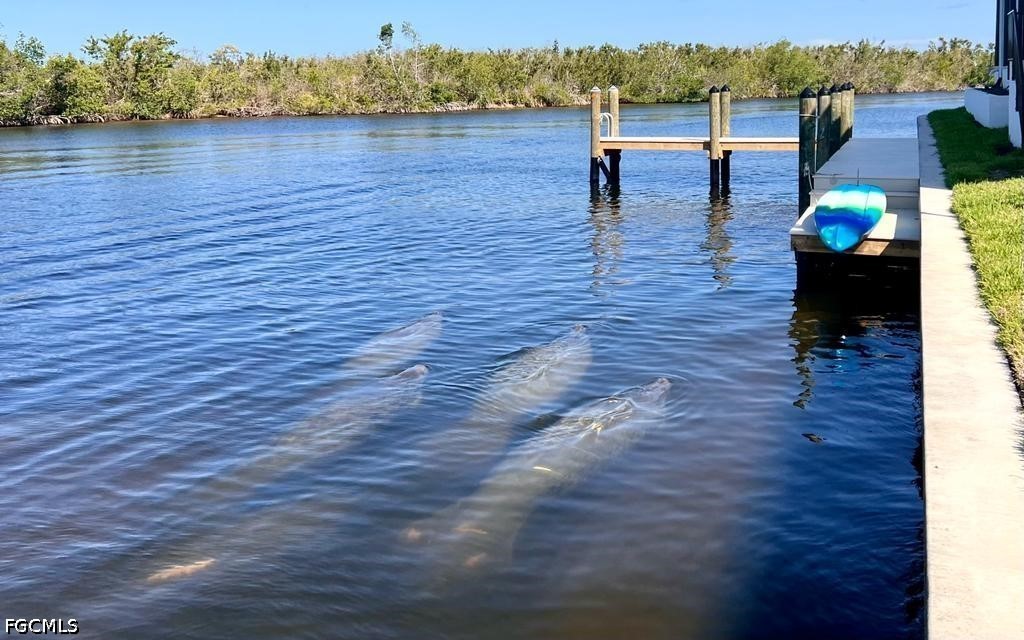 Dock