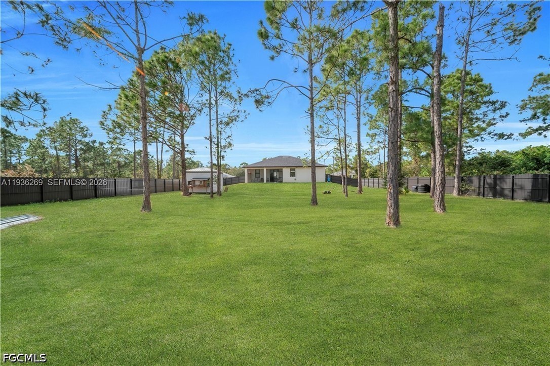 Yard