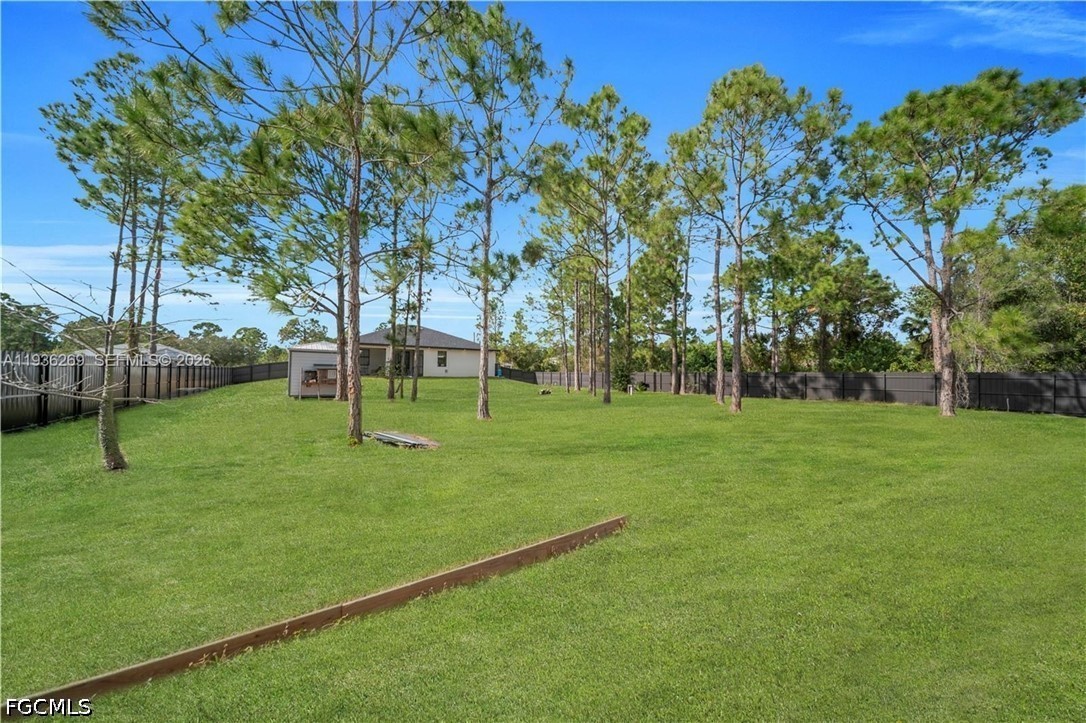 Yard