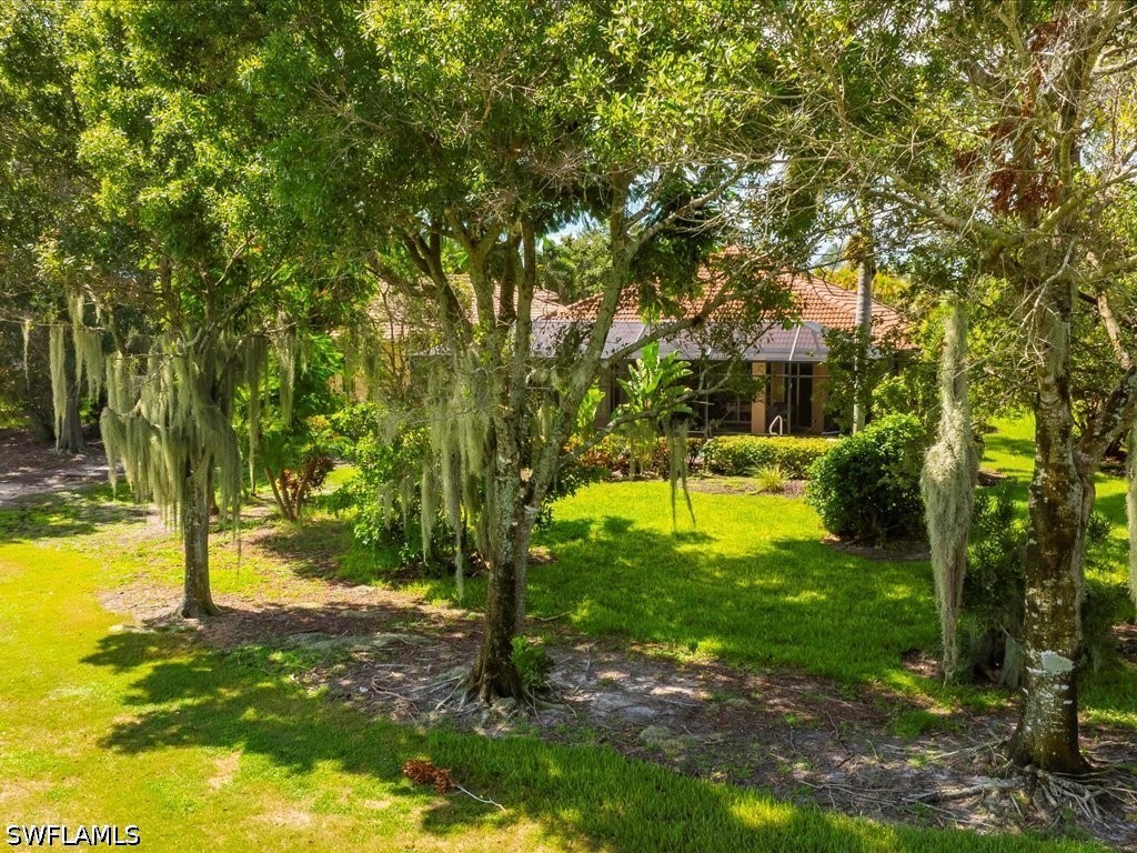 Yard