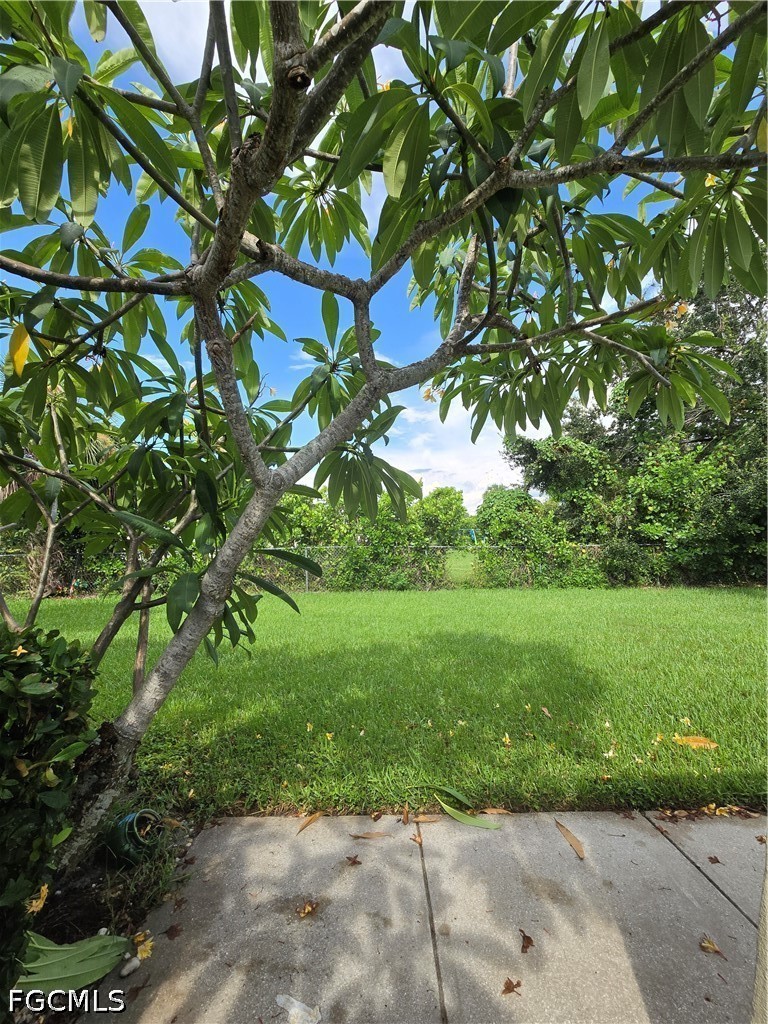 Yard