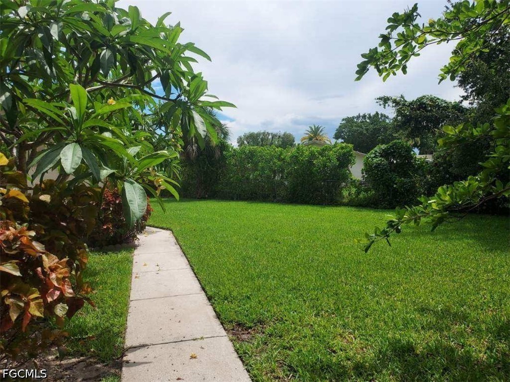 Yard