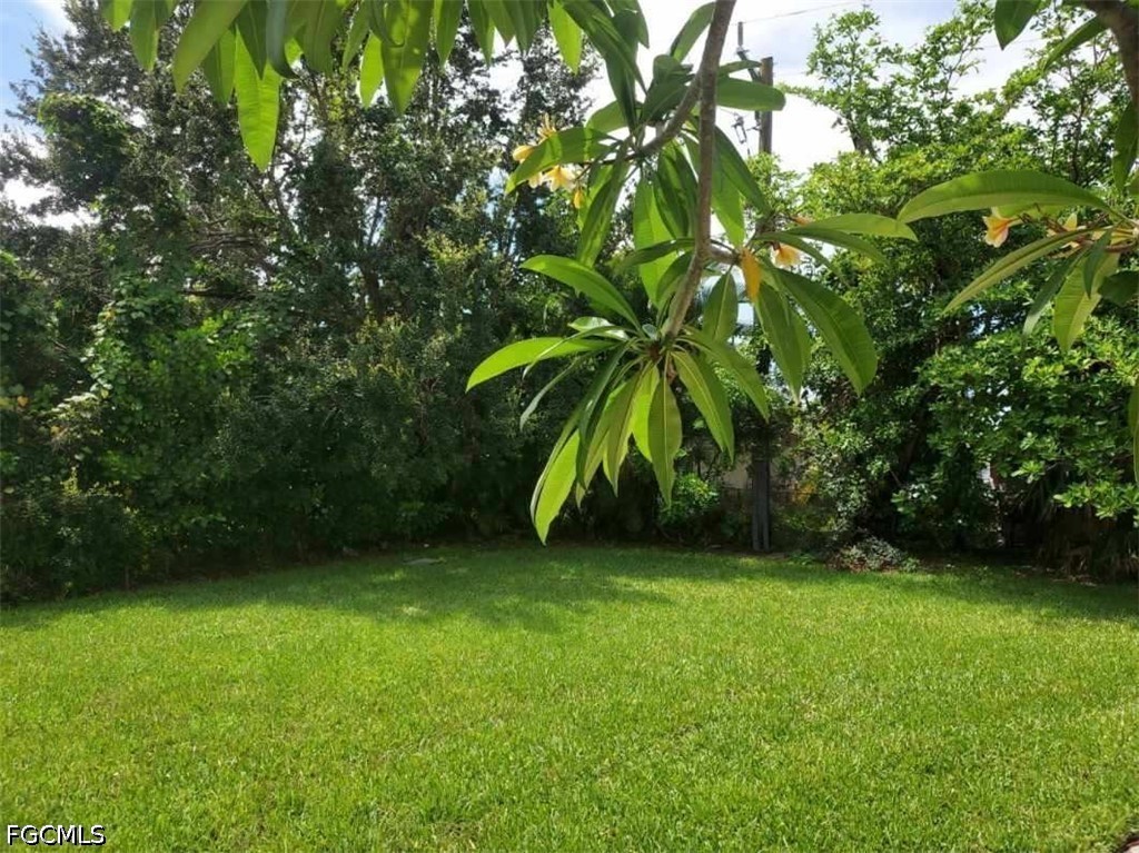 Yard