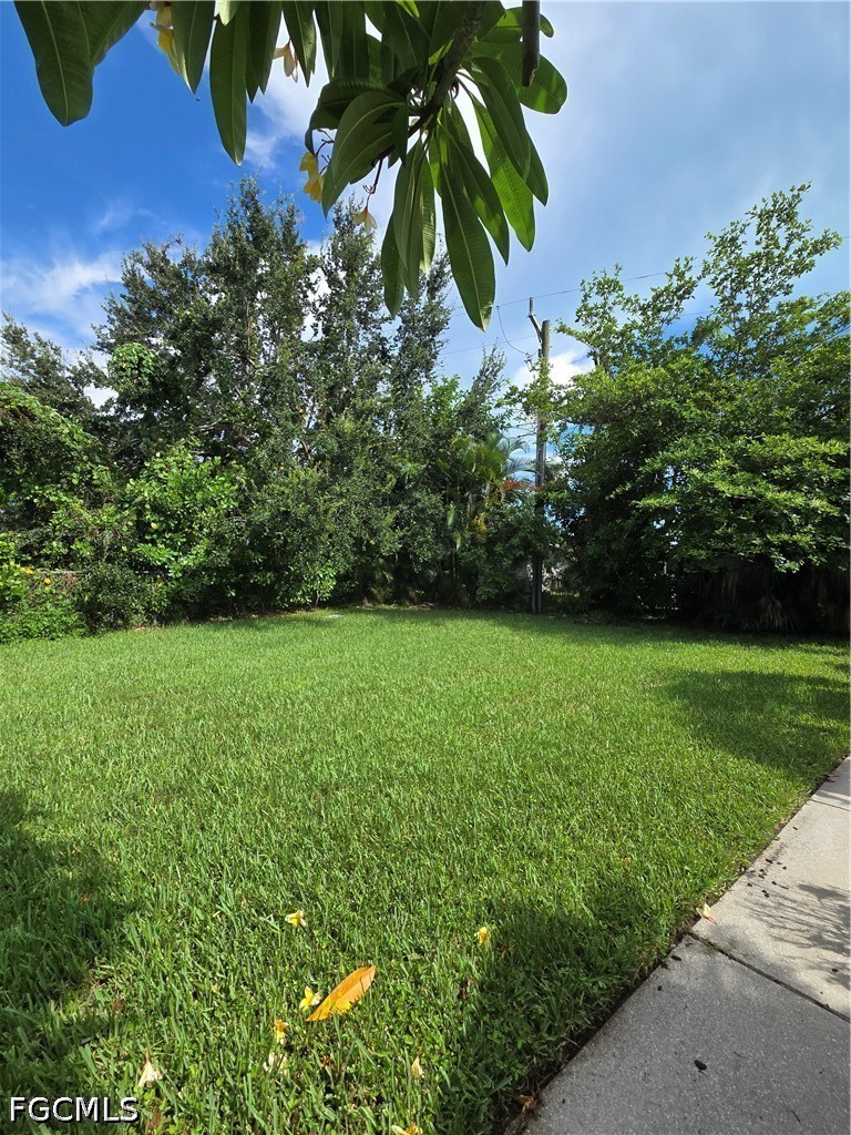 Yard
