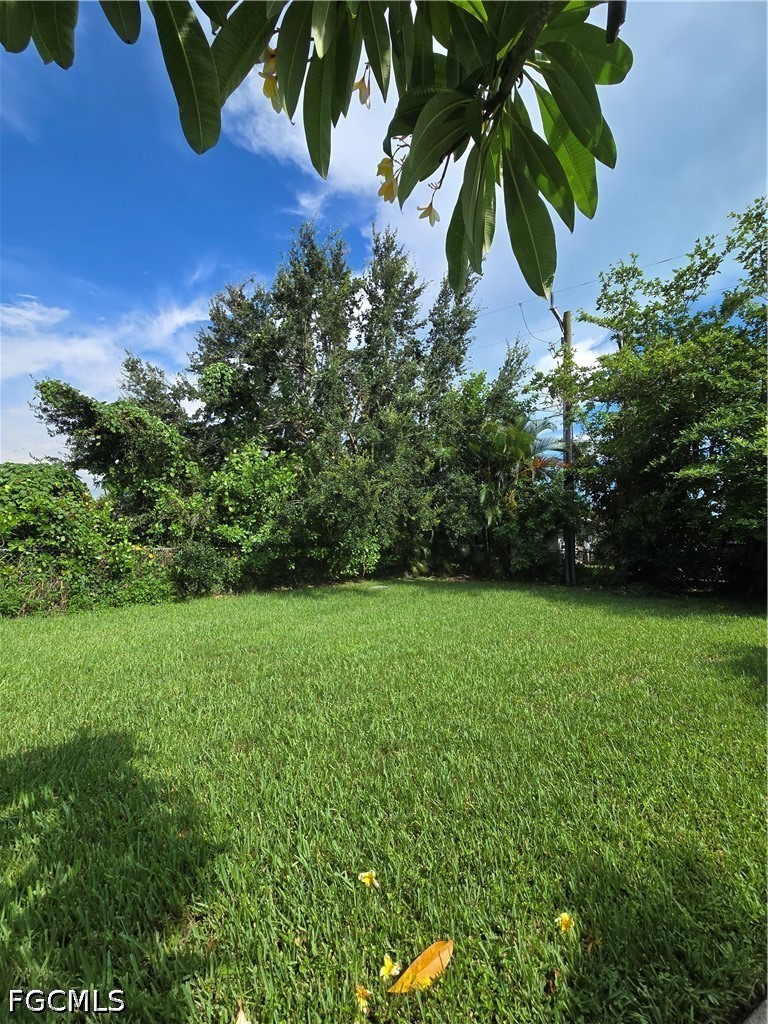 Yard