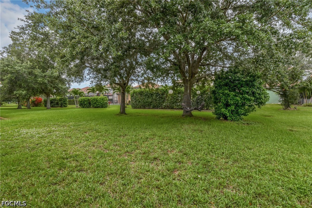 Yard