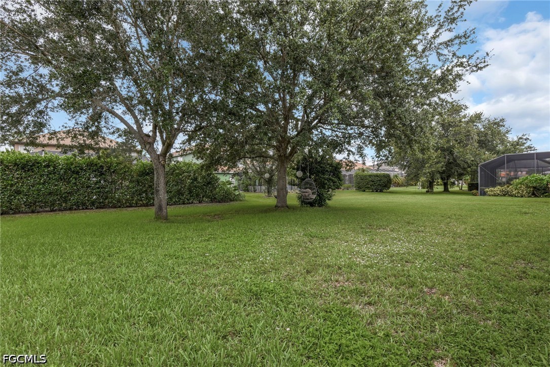 Yard