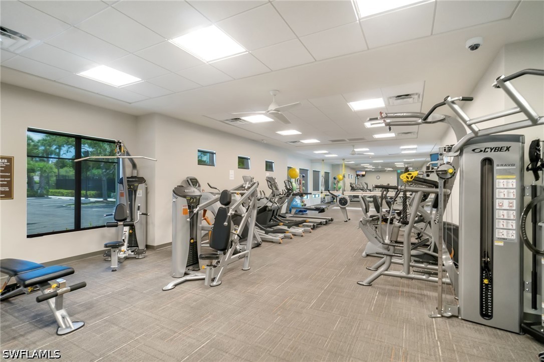 Gym