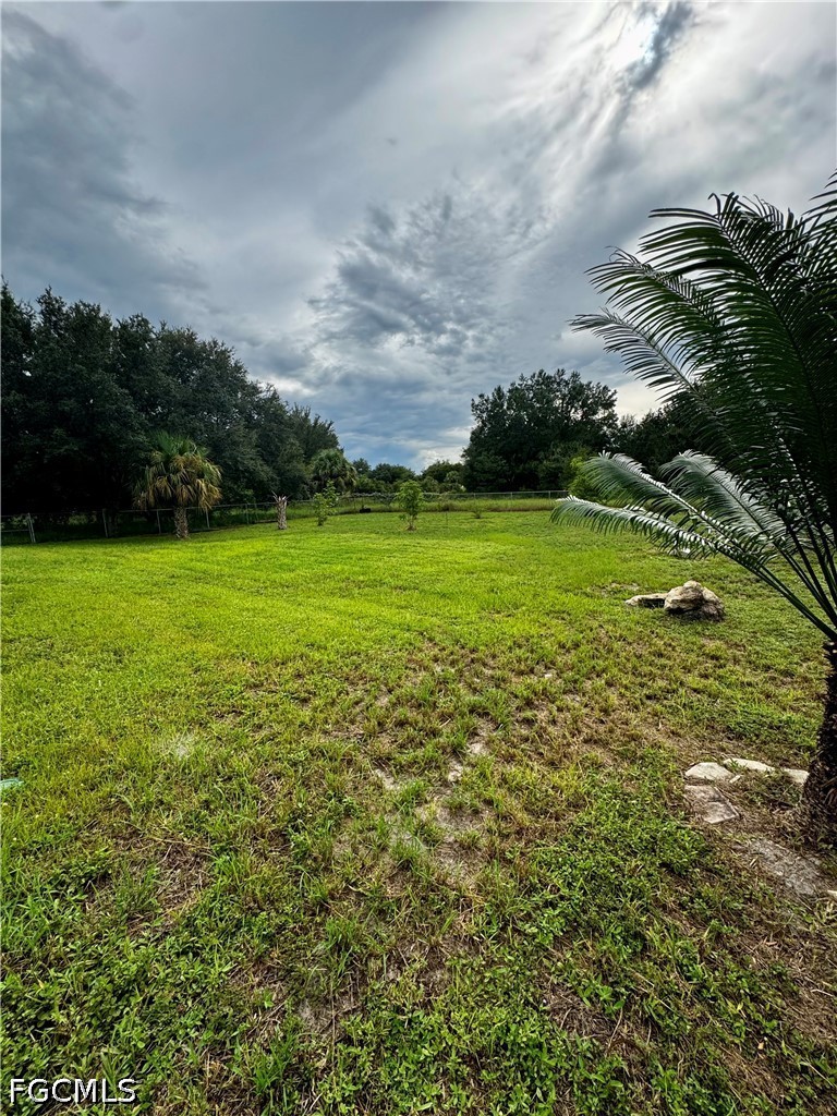 Yard