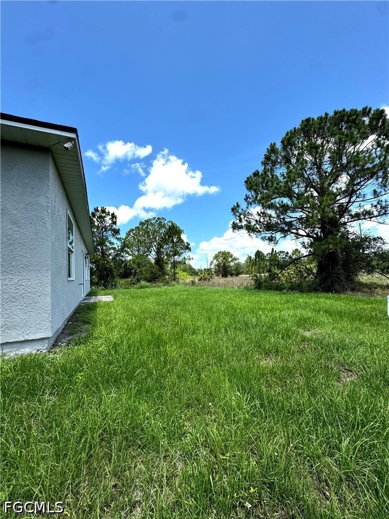 Yard