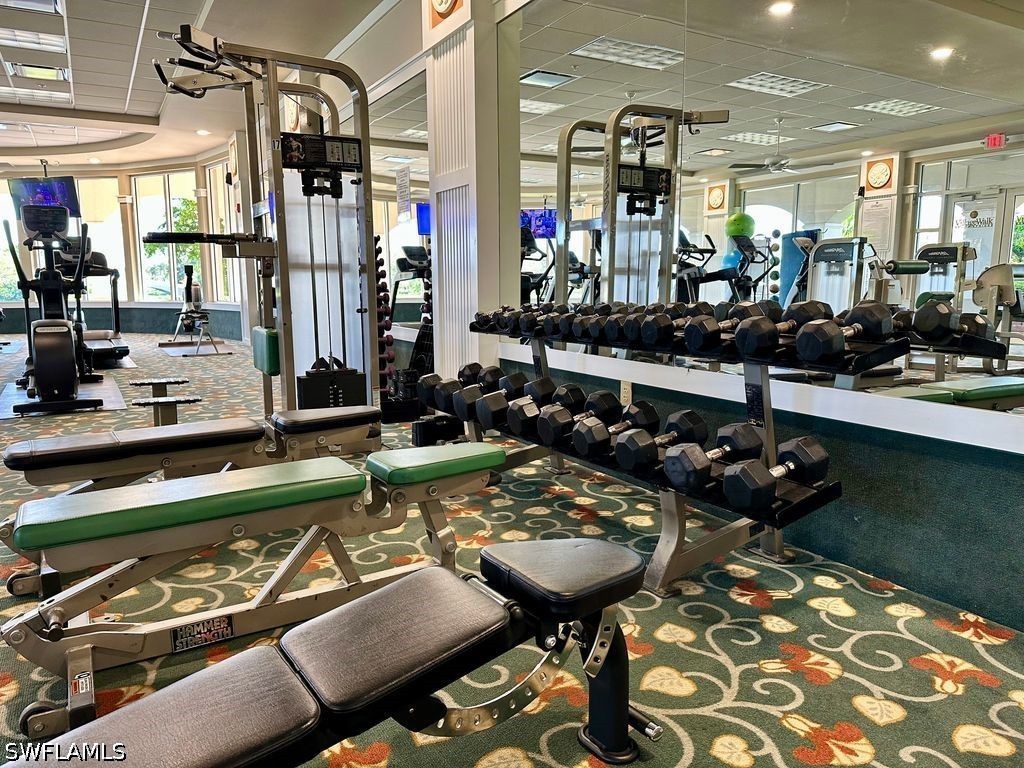 Gym
