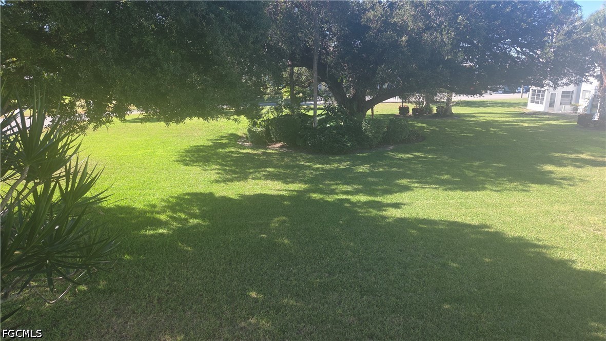 Yard