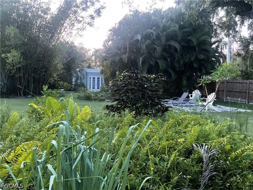 Yard