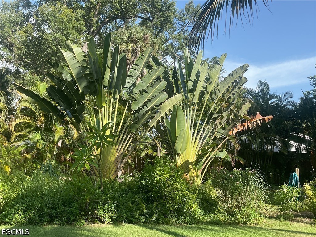817/825 Julia, Fort Myers, FL 33916
