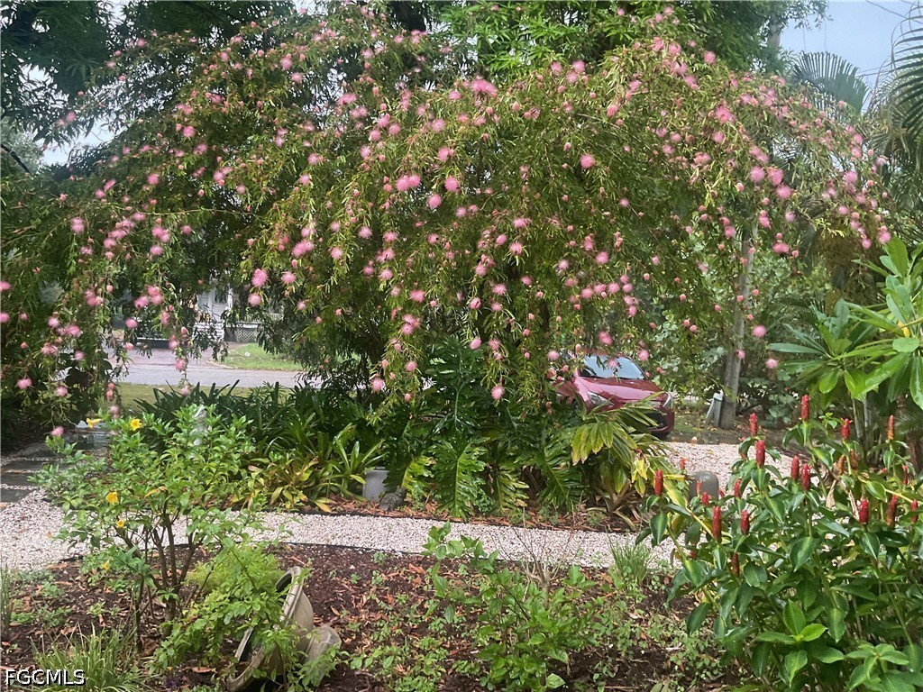 Yard