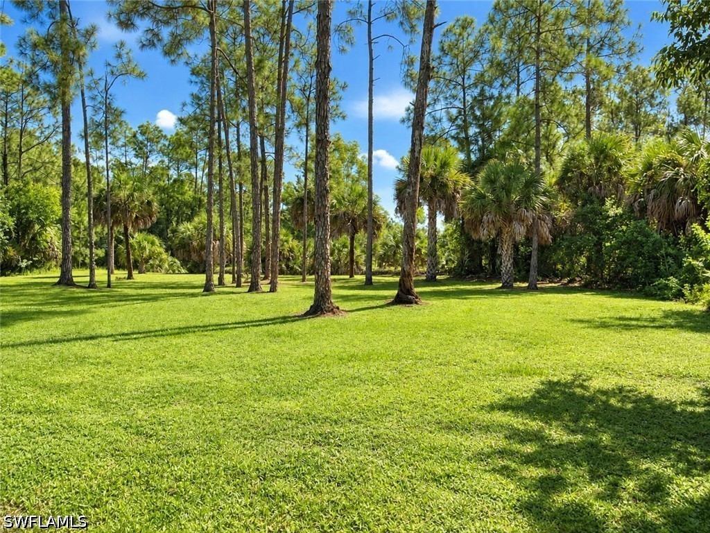 Yard