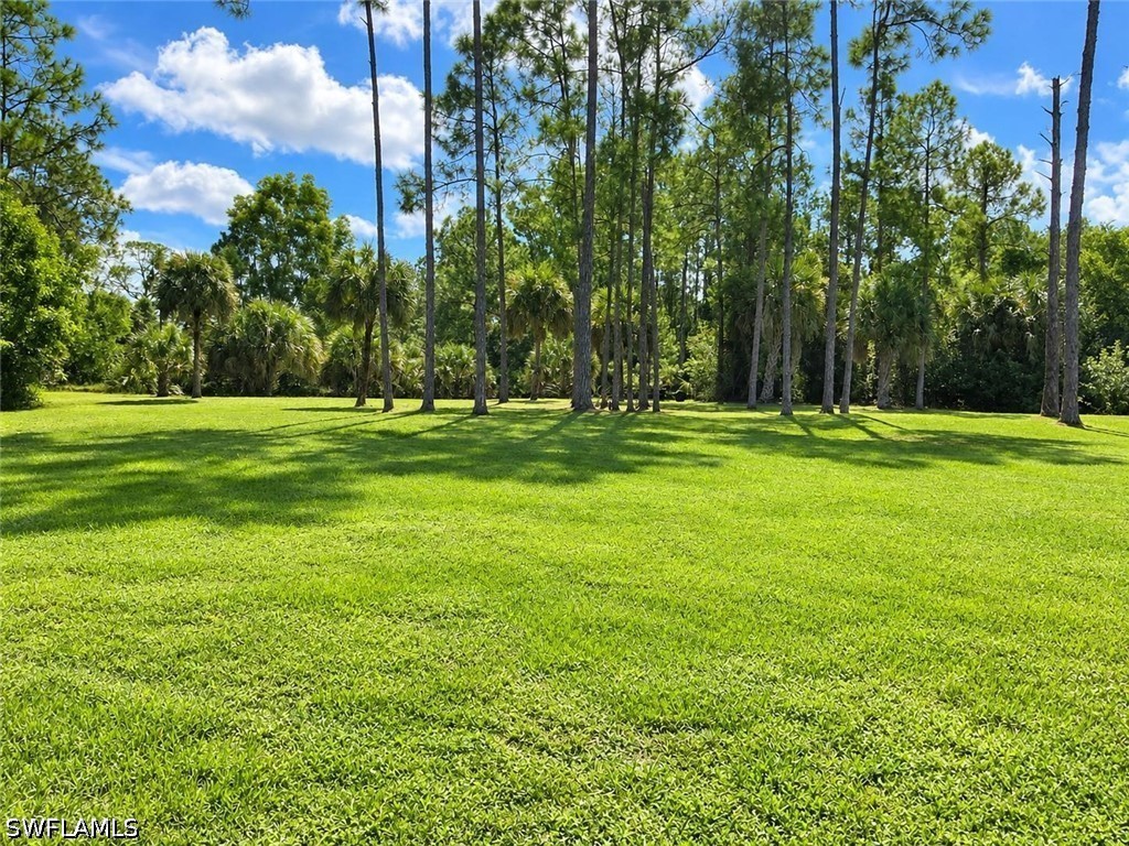 Yard
