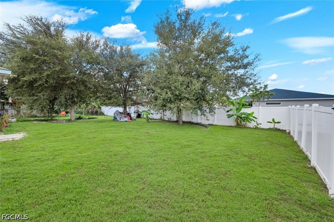 Yard