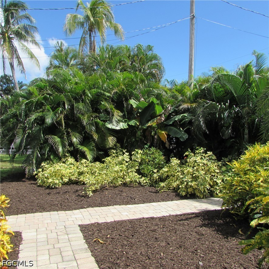 Yard