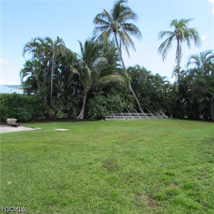 Yard