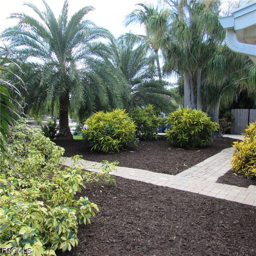 Yard