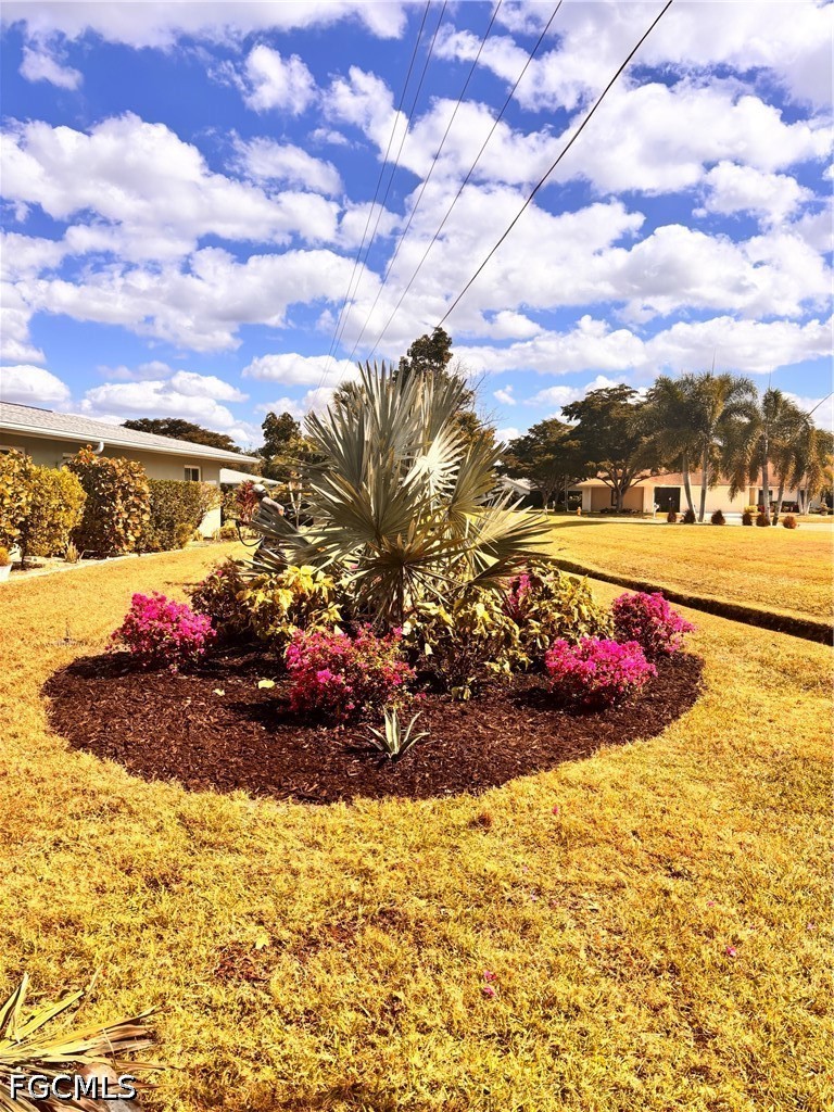 Yard