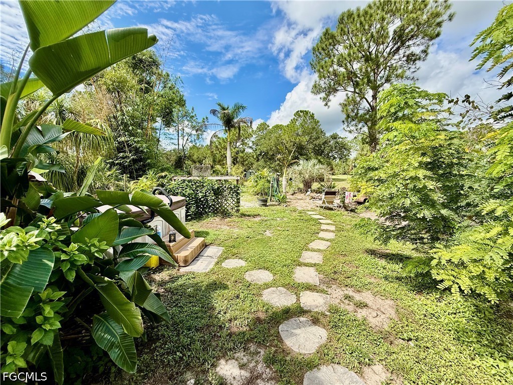 Yard