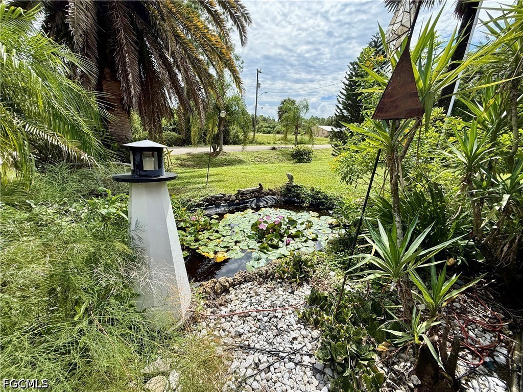 Yard