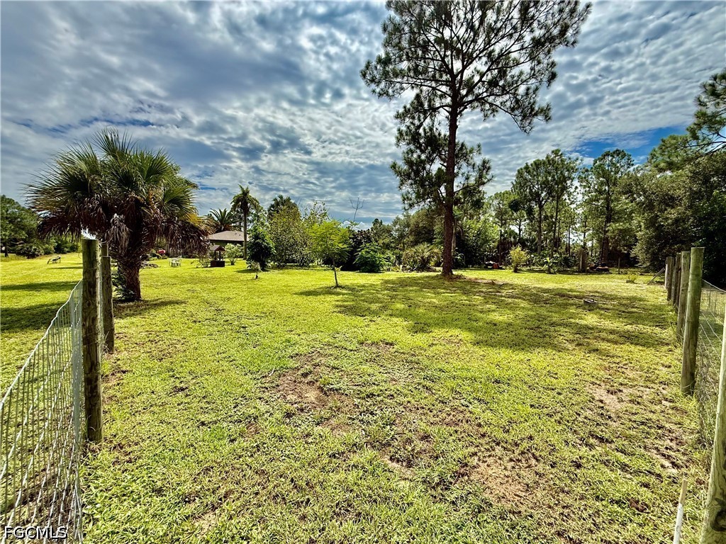 Yard