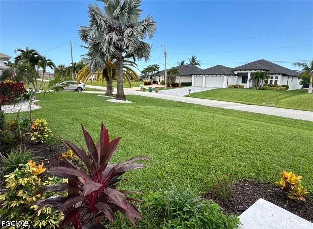 Yard