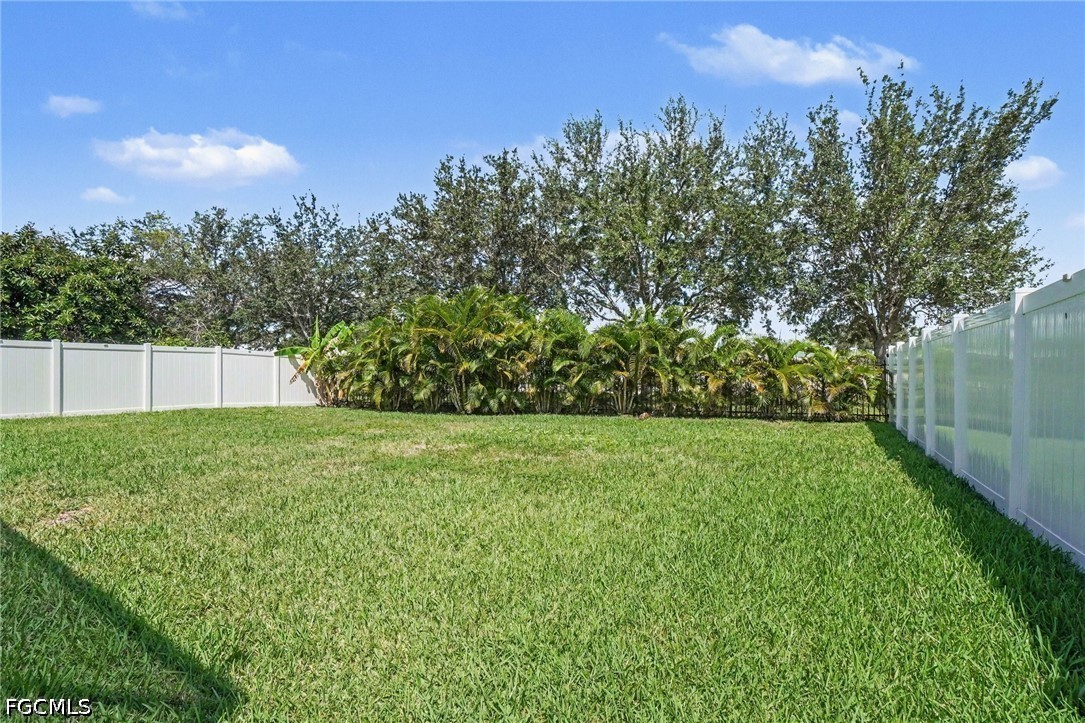Yard