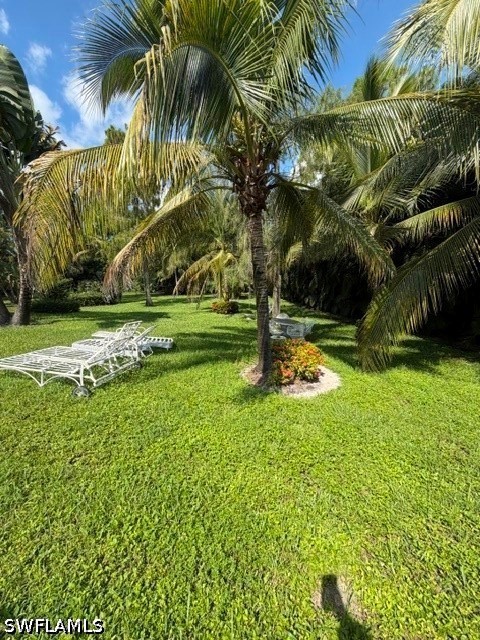 Yard
