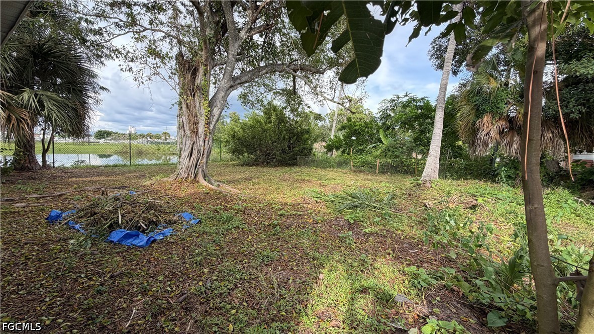 Yard