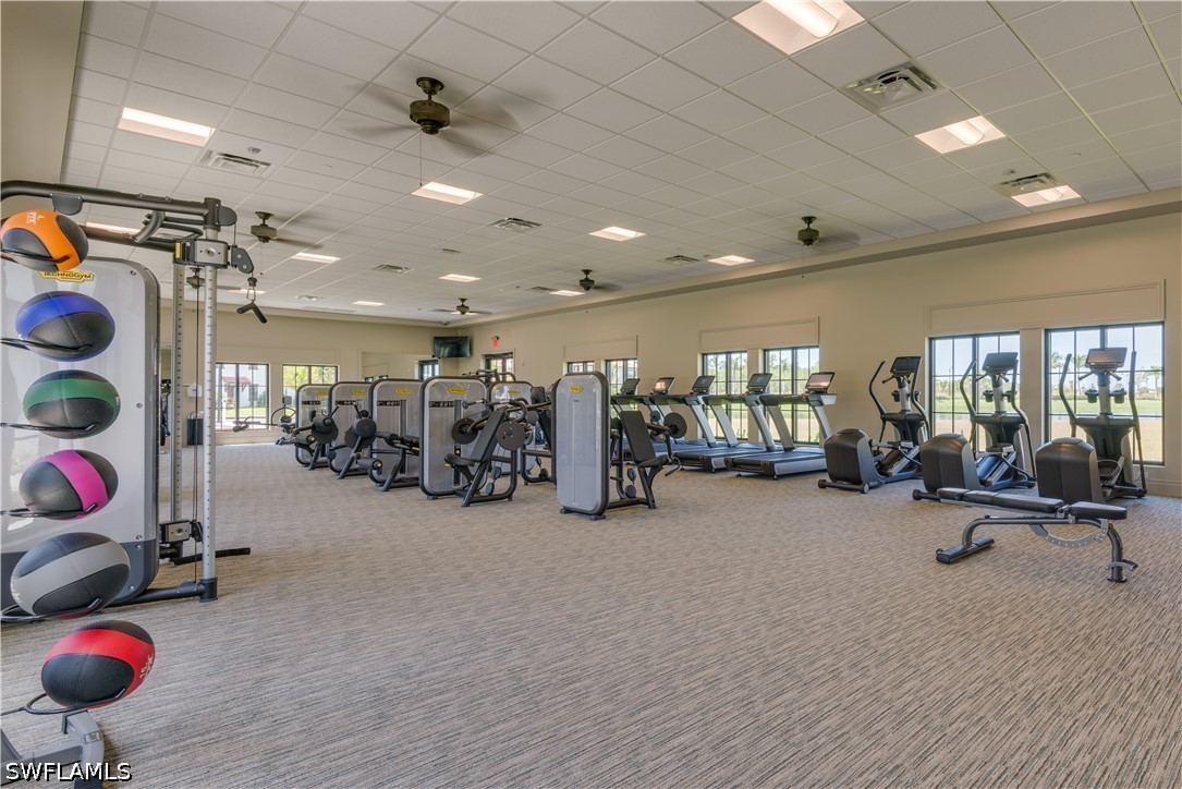 Gym