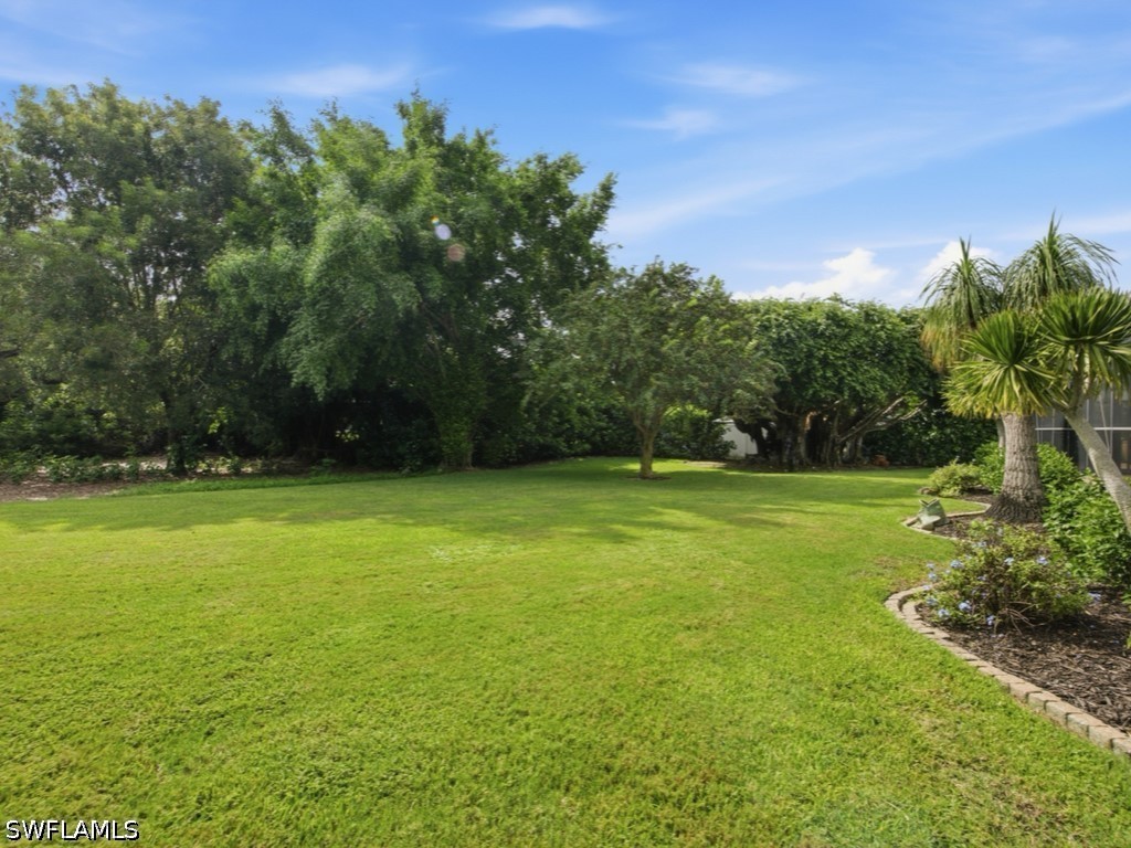Yard
