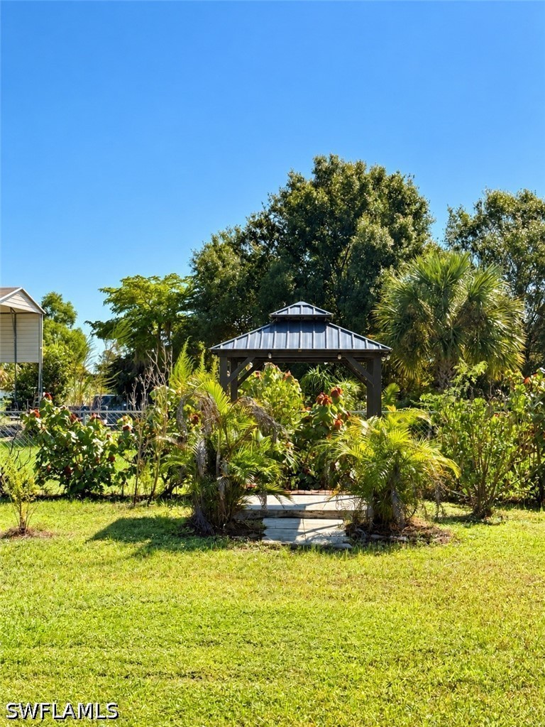 Yard