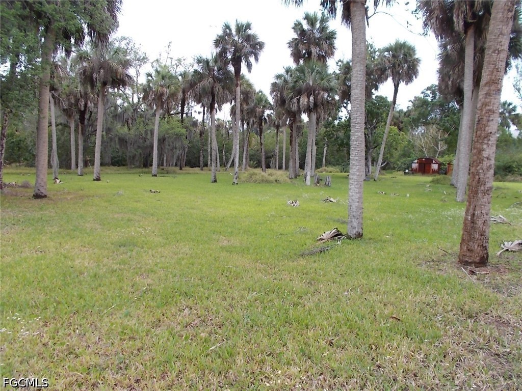 Yard
